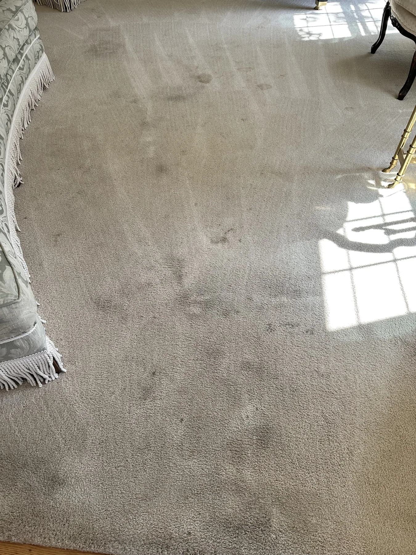 Dull matted carpet in a formal living room before liquid dry cleaning