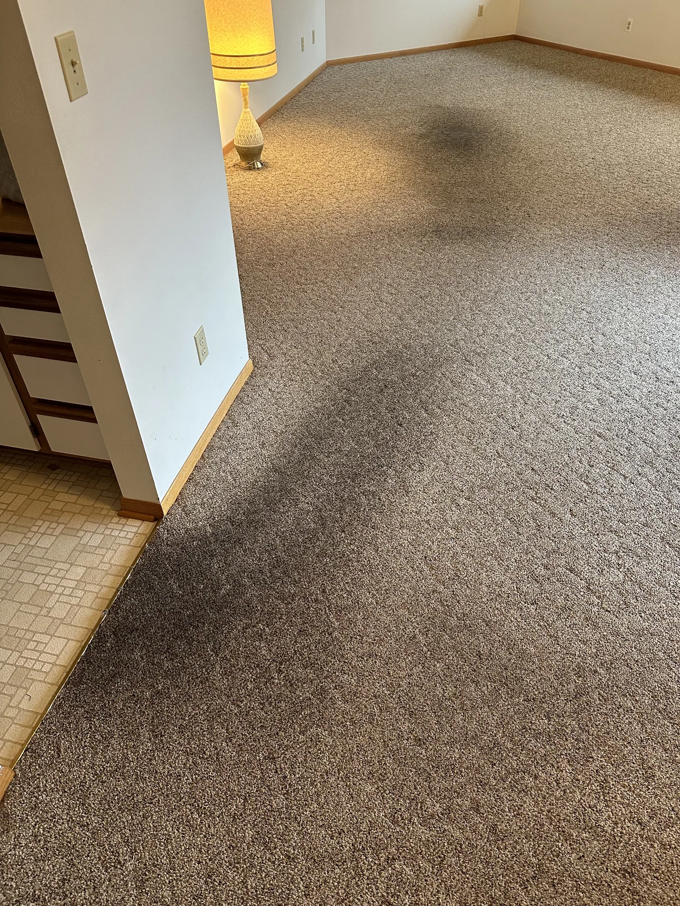 Dark traffic path worn across a living room carpet before cleaning