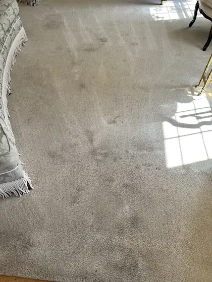 Dull matted carpet in a formal living room before cleaning
