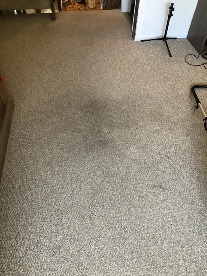 Living room carpet with visible traffic soiling and spots before cleaning