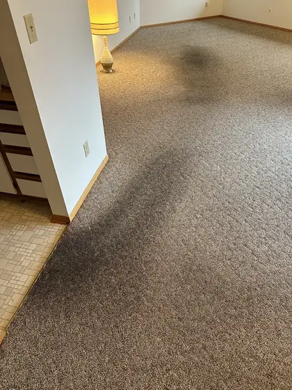 Dark traffic path worn across a living room carpet before cleaning
