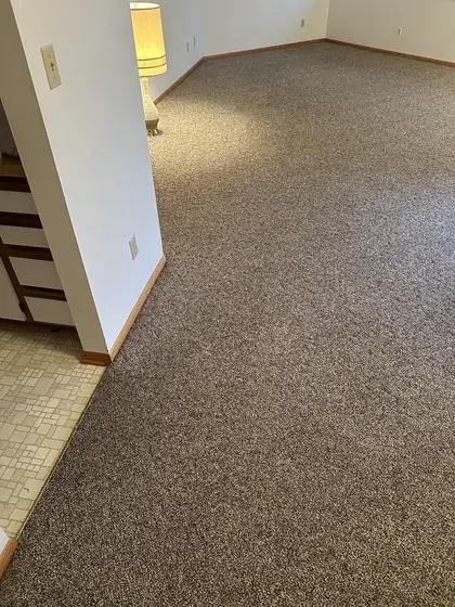 The same living room carpet with the traffic path lifted to one even tone