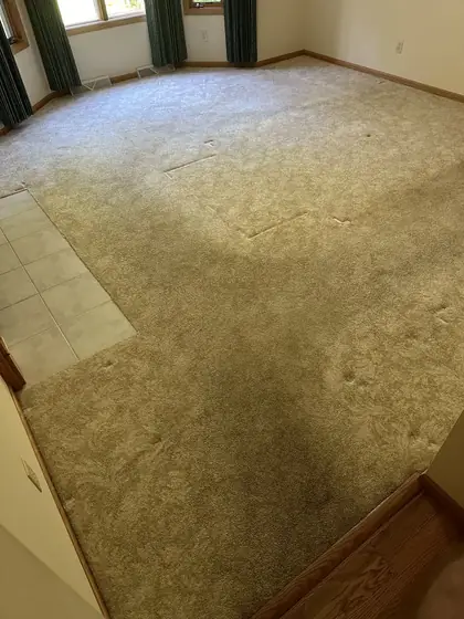Living room carpet with visible traffic soiling before cleaning